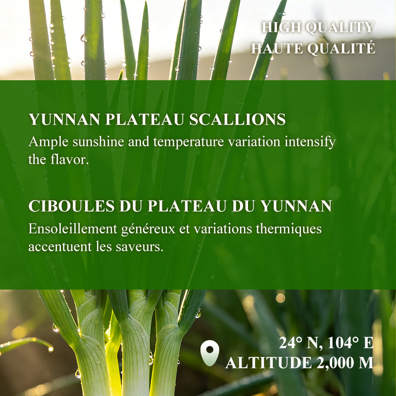 Scallion Oil Sauce 240g Jar