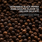 Black Pepper Sauce Trail 100g – 2 Packs